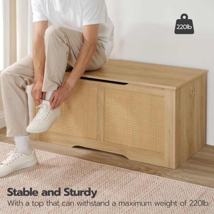 HOOBRO Storage Chest, 39.3" Storage Bench, Rattan-Like Storage Trunk, Sturdy Entryway Bench Supports 220 lb, Shoe Bench, Safety Hinge, U-Shaped Opening, Easy Assembly