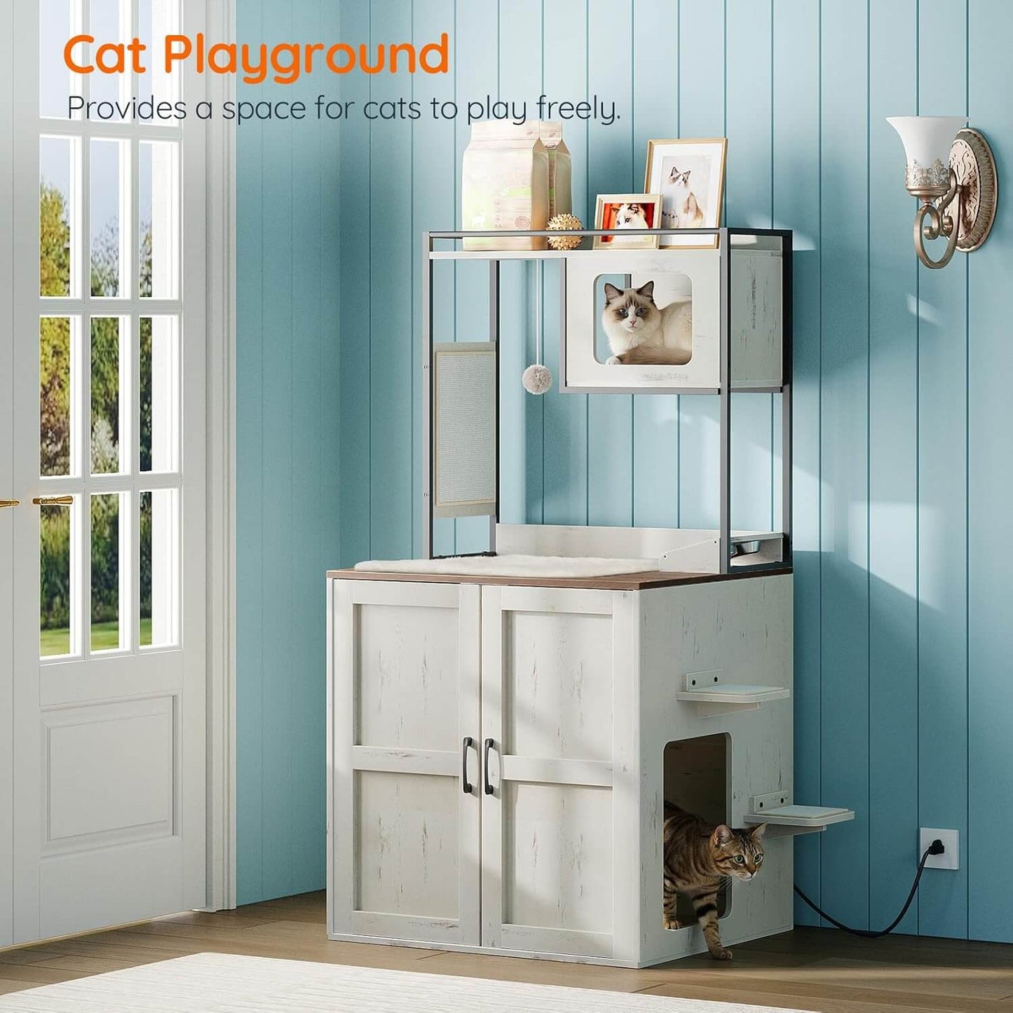 Cat playground with multiple levels and a cat peeking out, set against a blue wall.