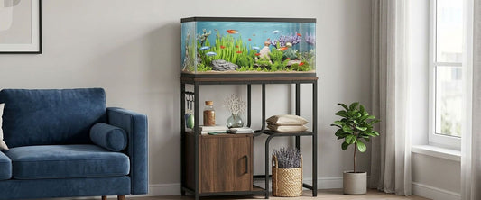 What Is the Best Stand for a 20 Gallon Fish Tank?