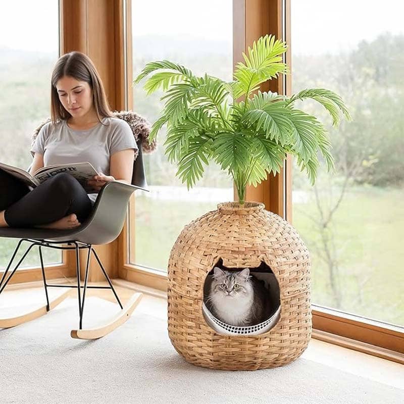 A long-haired gray cat sits inside a woven round cat bed with a circular opening, placed on a windowsill next to a woman reading in a chair. The cat bed is topped with a green potted artificial palm plant, with a bright window and outdoor scenery in the background.