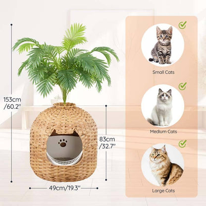A woven wicker cat house with a built-in cat bed opening, shown with a potted plant on top and dimension callouts. On the right, a peach panel shows cat breed suitability with small, medium, and large cat photos and check marks.
