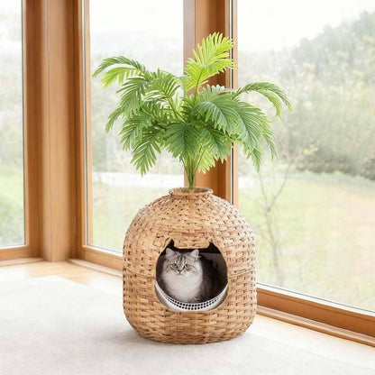 A long-haired gray cat sits inside a woven round cat bed with a palm tree planted in it, placed on a windowsill with a real outdoor view.