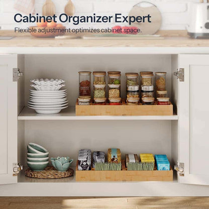 Cabinet organizer with various containers and items inside a kitchen cabinet.