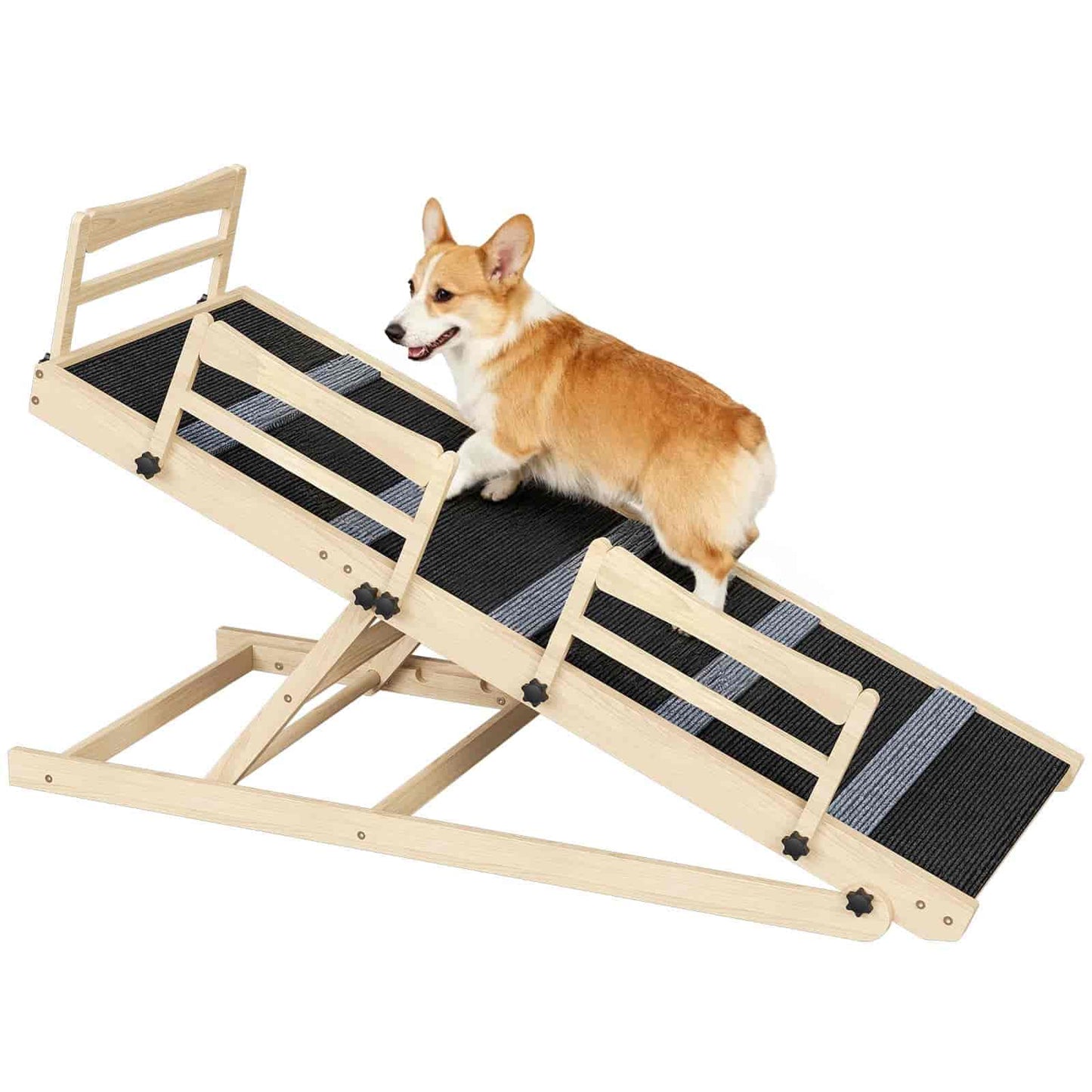 Dog using a wooden ramp on a white background