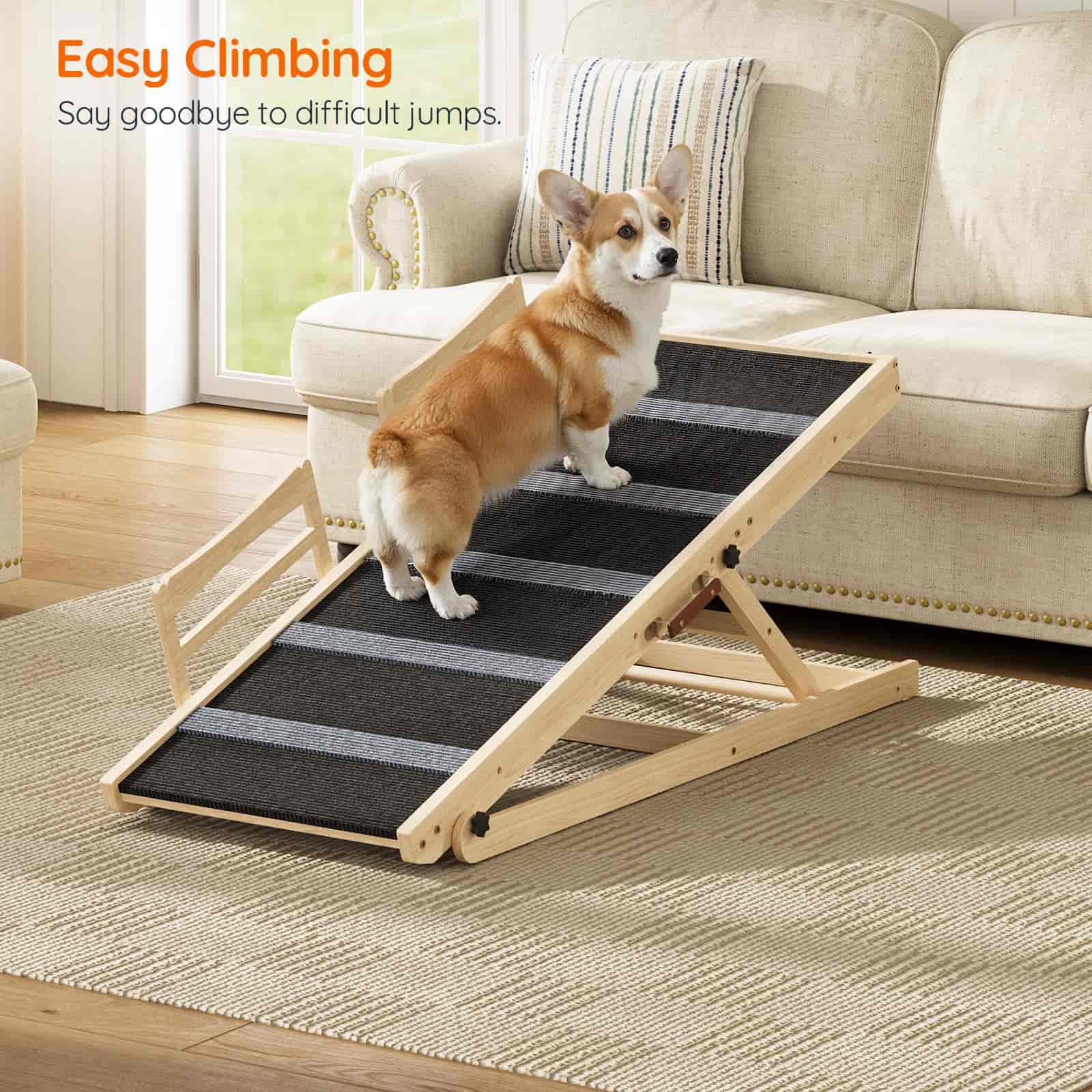 Dog using a set of pet stairs in a living room.