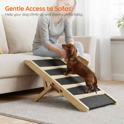 Dog using a ramp to climb onto a sofa with a person assisting.