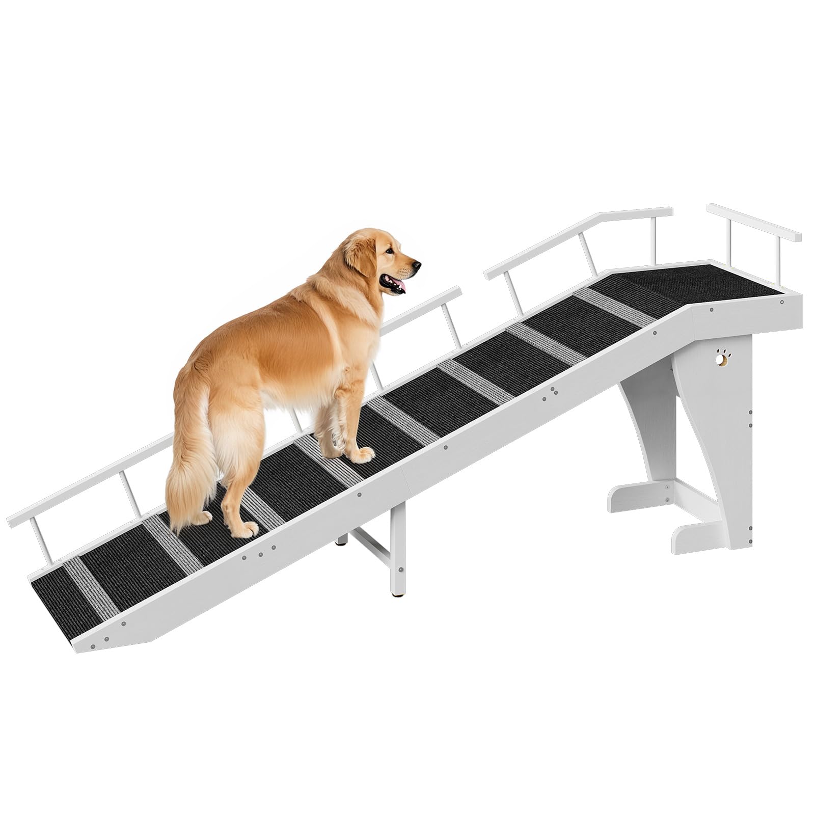 Dog using a pet ramp on a white background