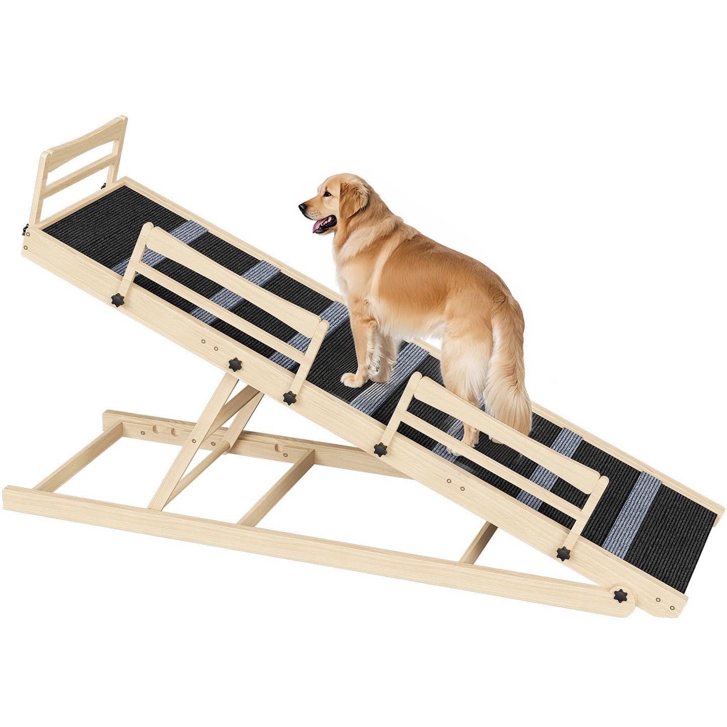 Dog standing on a wooden ramp with a white background