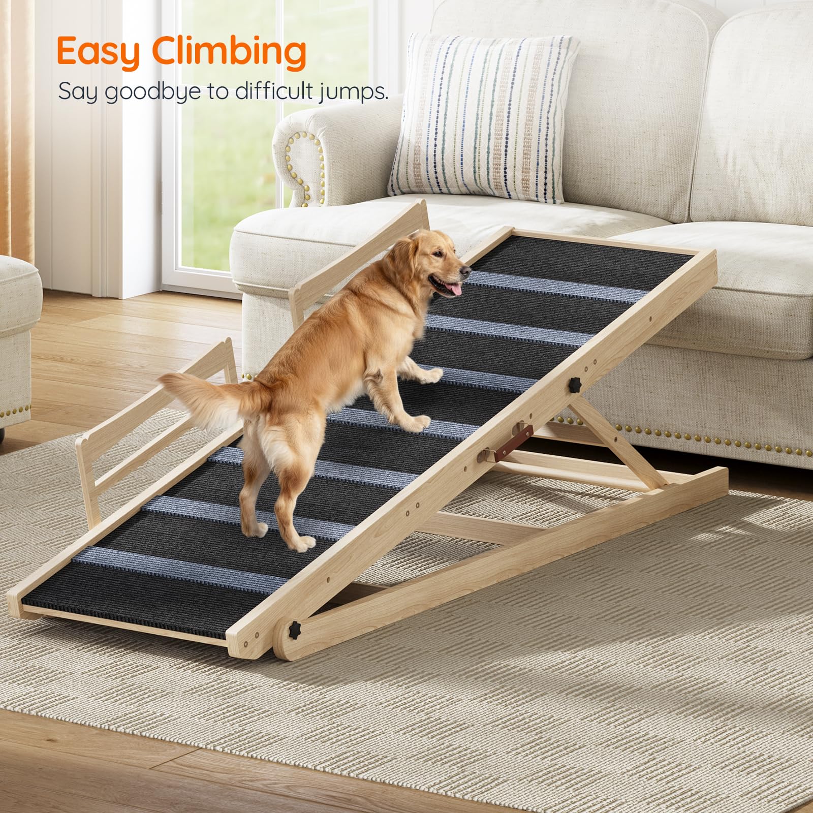 Dog using a wooden ramp in a living room setting