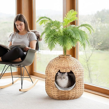 Woman reading a book with a cat in a woven pet bed next to a potted plant.