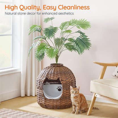 Cat house with plant inside, cat sitting next to it in a room with a window and chair.
