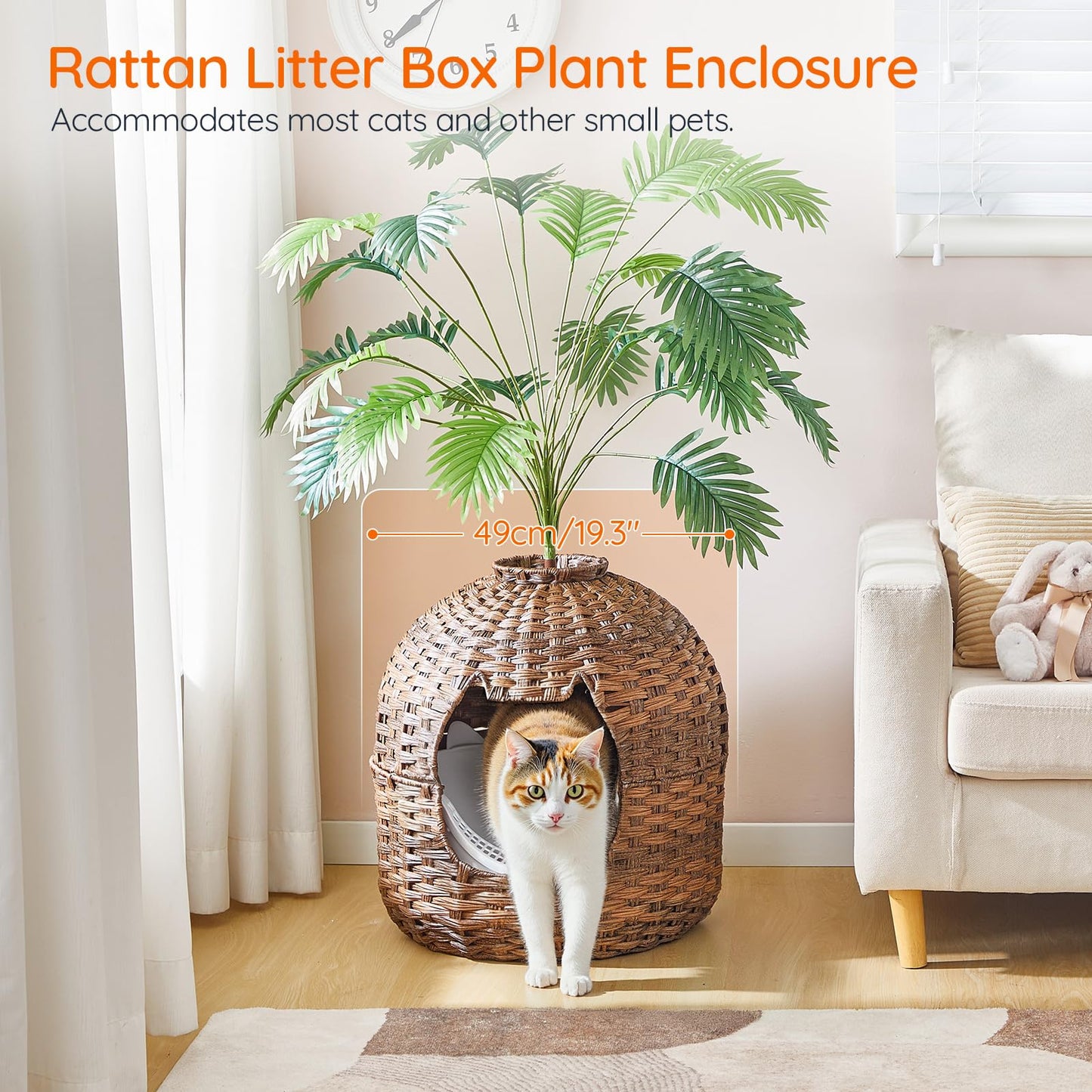 Rattan litter box plant enclosure with a cat peeking out, placed in a room with a couch and plant.