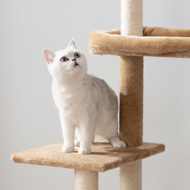 HOOBRO Cat Tree with Litter Box Enclosure for Indoor Cats, Wooden Cat Condo with Scratching Posts, Cat Litter Box Furniture Hidden, All-in-One Cat Toy with Cat House
