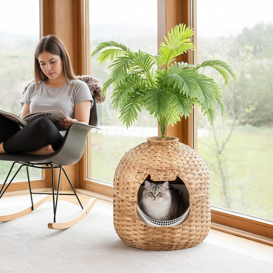 Woman reading a book next to a wicker cat house with a cat inside, placed under a potted plant by a window.