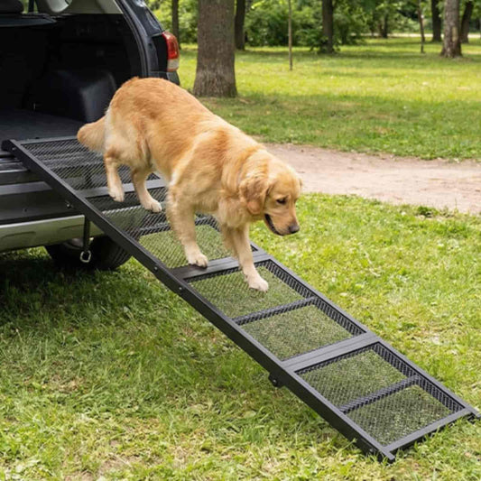 Dog using a black pet ramp to get into a vehicle in a park setting