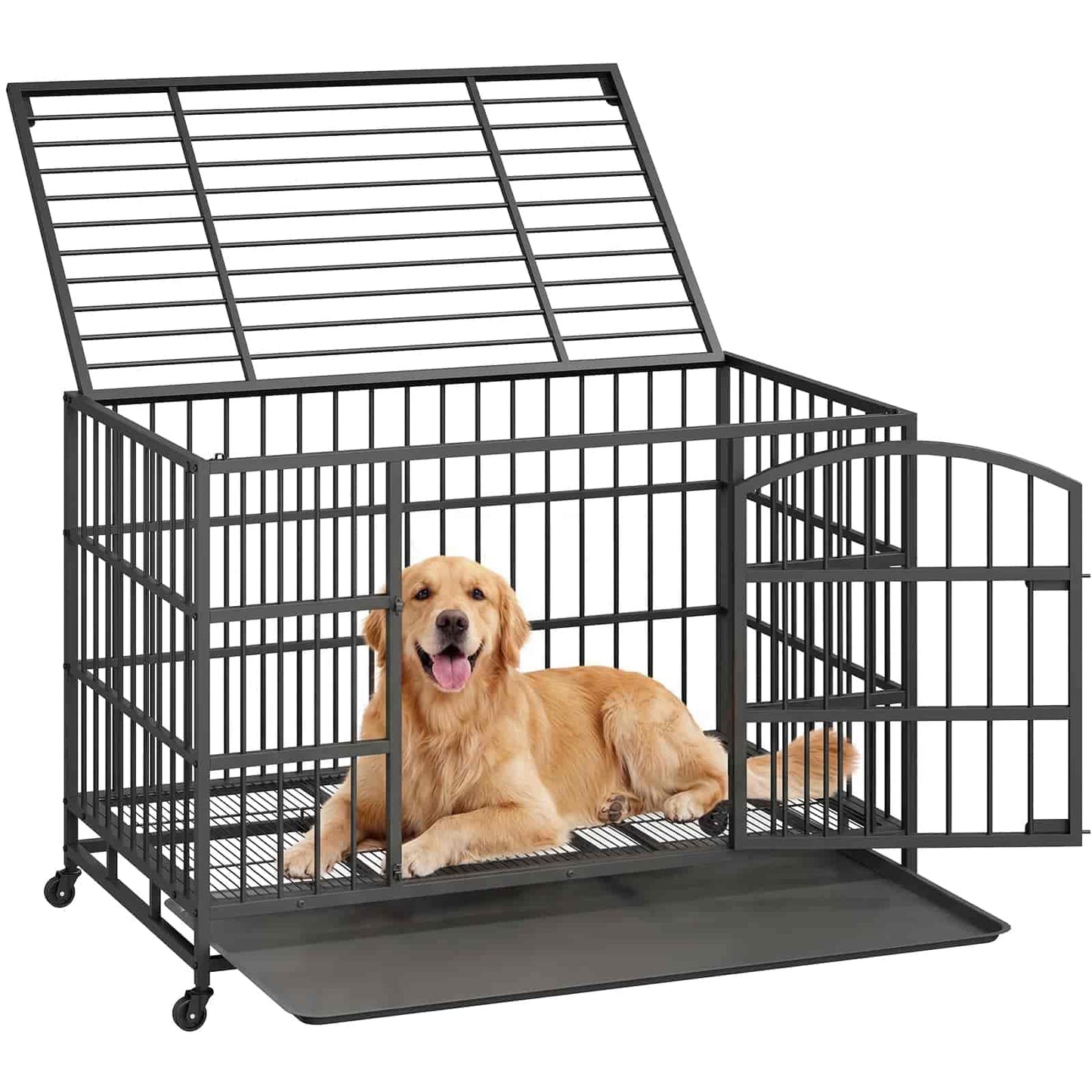 Dog lying inside a large black metal dog crate on a white background