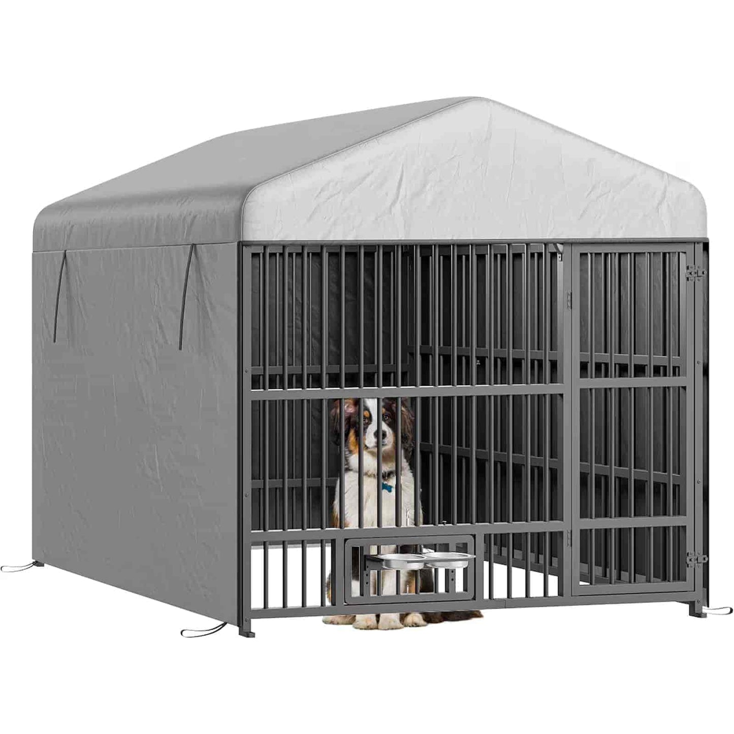 Dog in a large gray dog crate with a cover on a white background