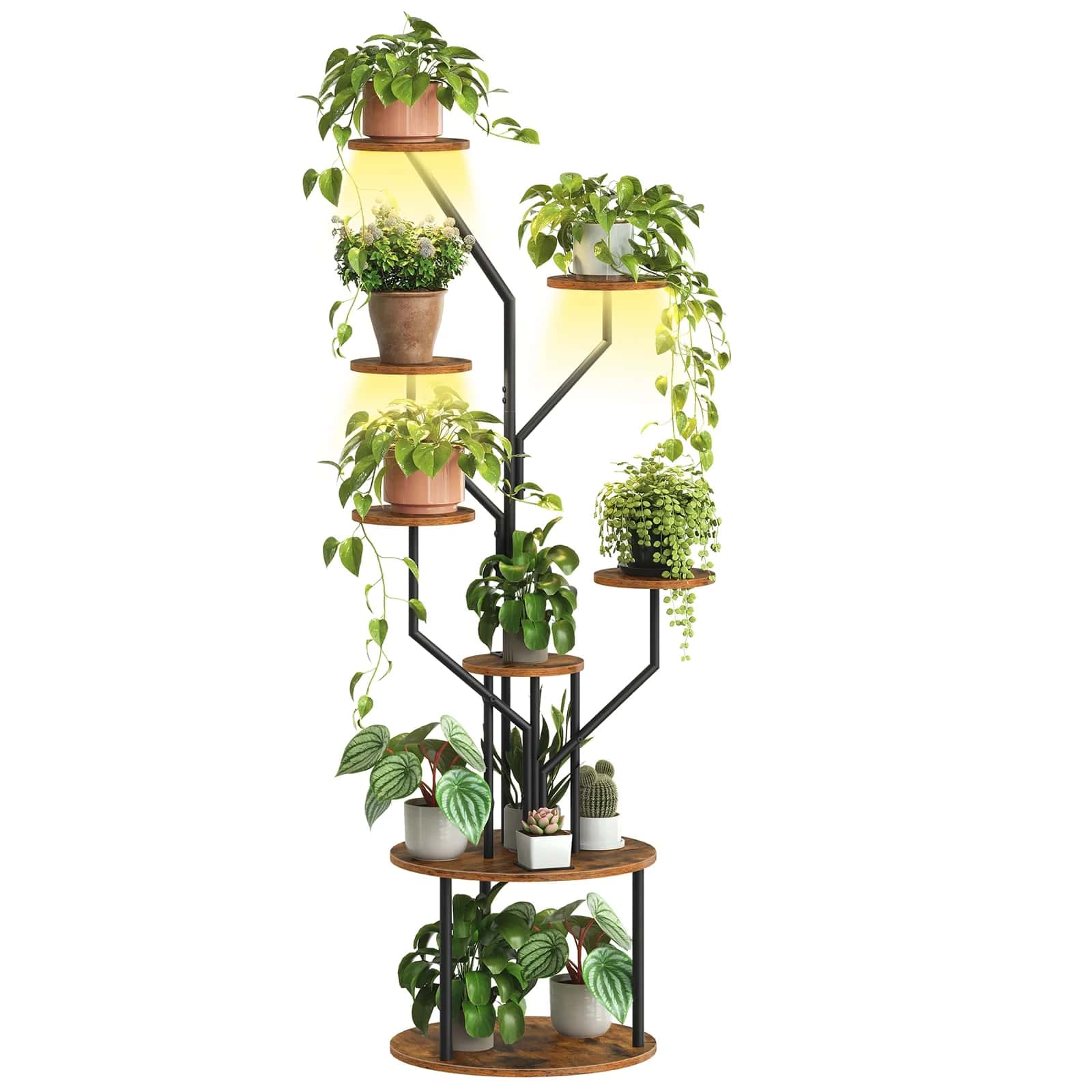 Multilevel plant stand with potted plants on a white background