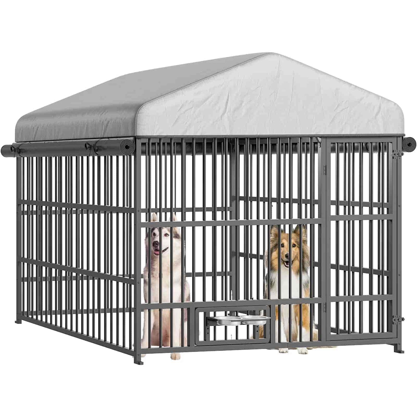 Dog crate with two dogs inside on a white background