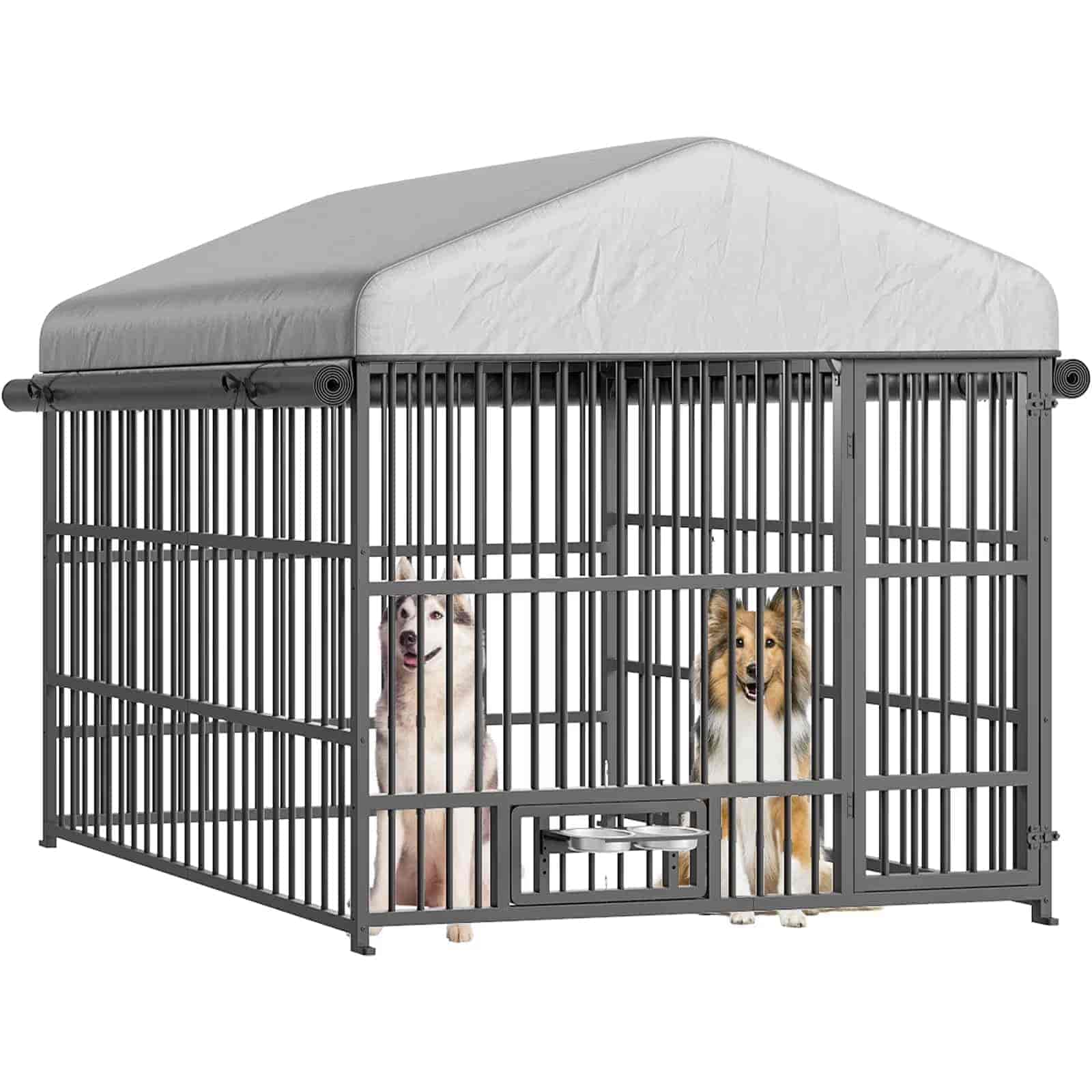 Dog crate with two dogs inside on a white background