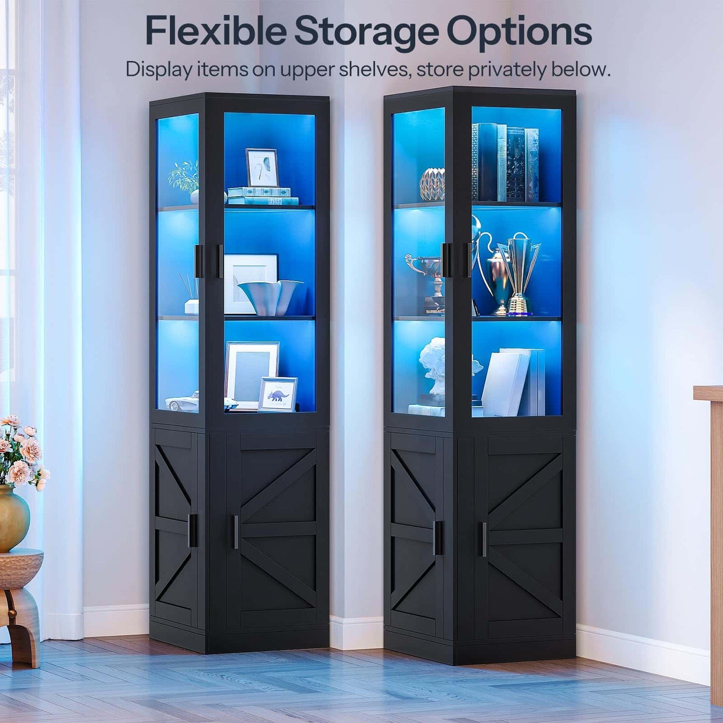 Black display cabinets with glass shelves in a room setting, highlighting flexible storage options.