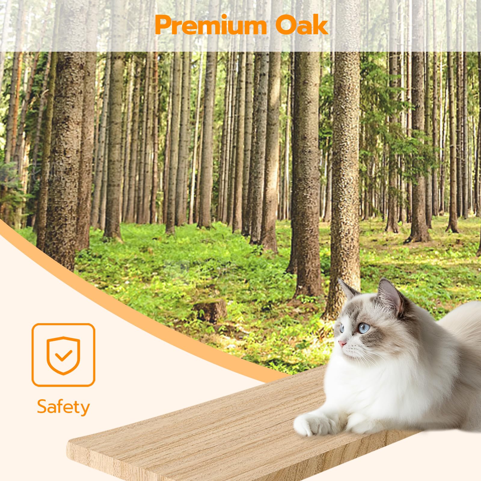 Cat on a wooden shelf with a forest background and 'Premium Oak' branding.
