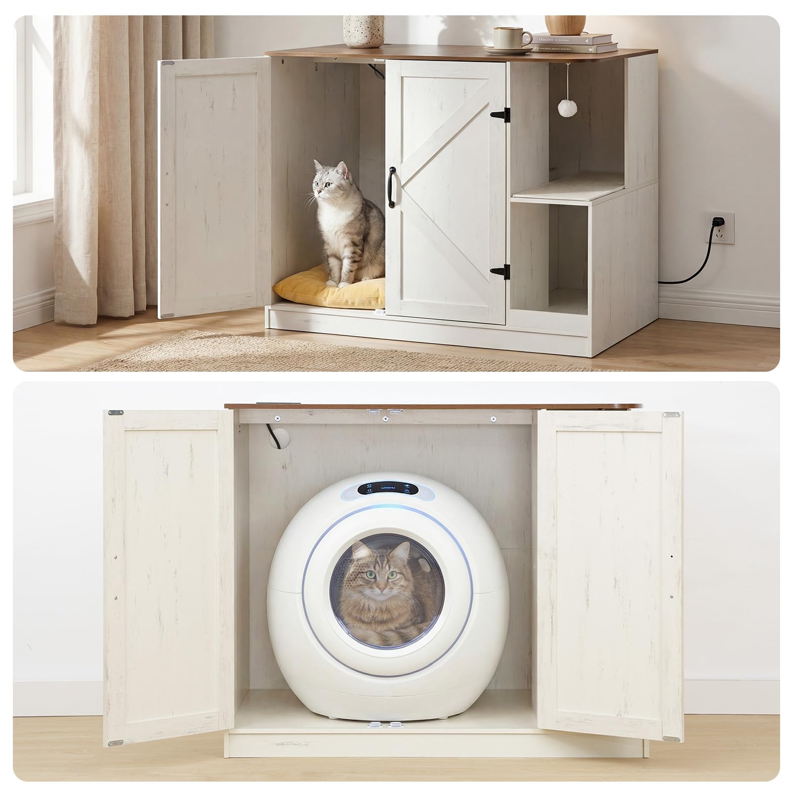 Cabinet with a cat inside and a pet washing machine with a cat's reflection on a white background