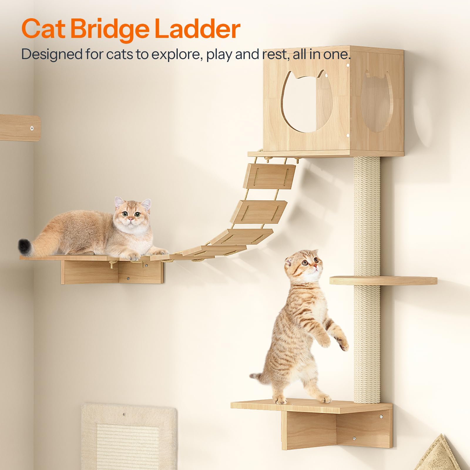 Cat bridge ladder with two cats on a beige wall background