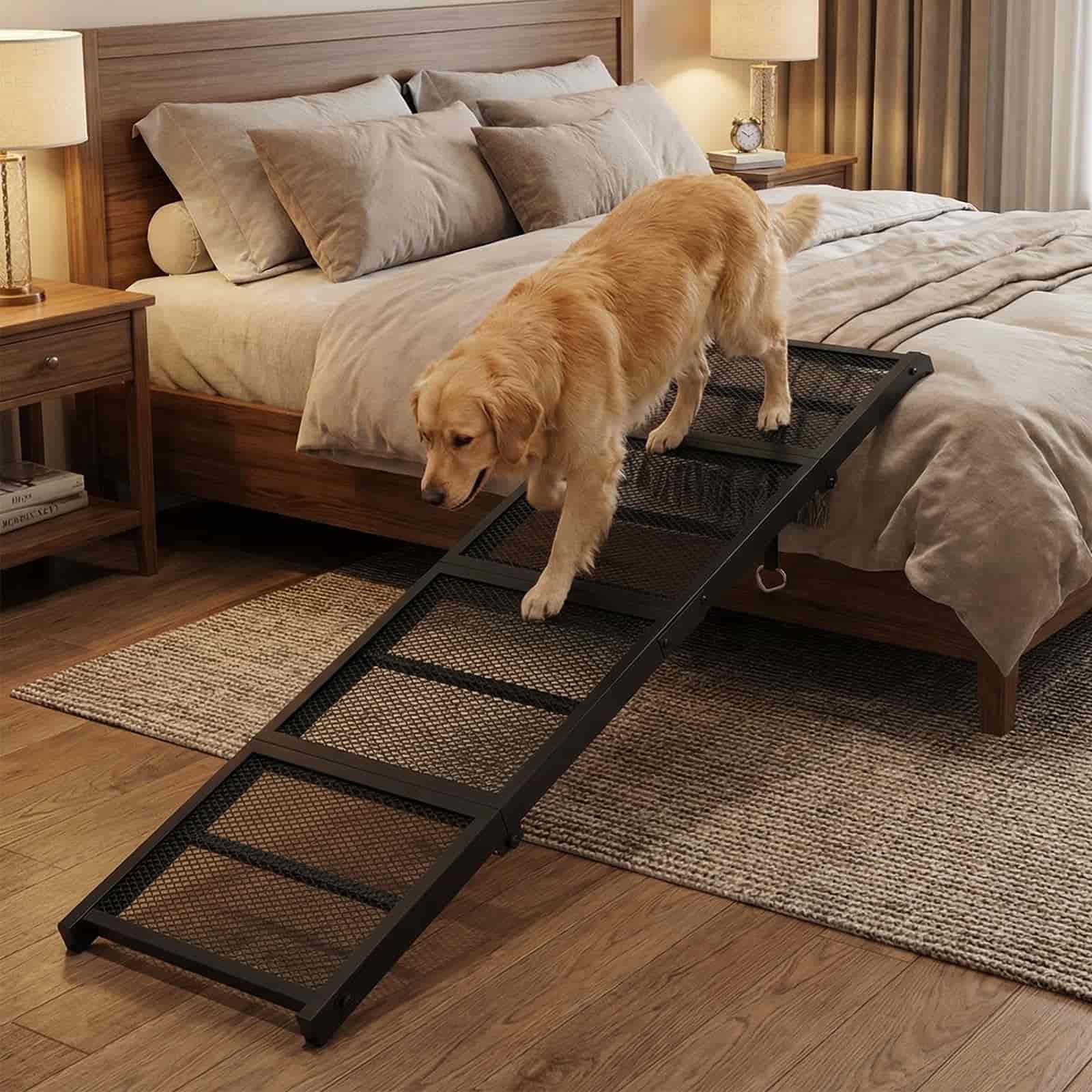 Dog using a black pet ramp to climb onto a bed in a bedroom setting.