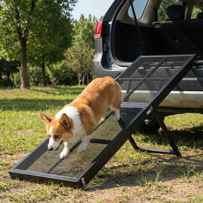 Dog using a pet ramp to enter a car in a natural setting