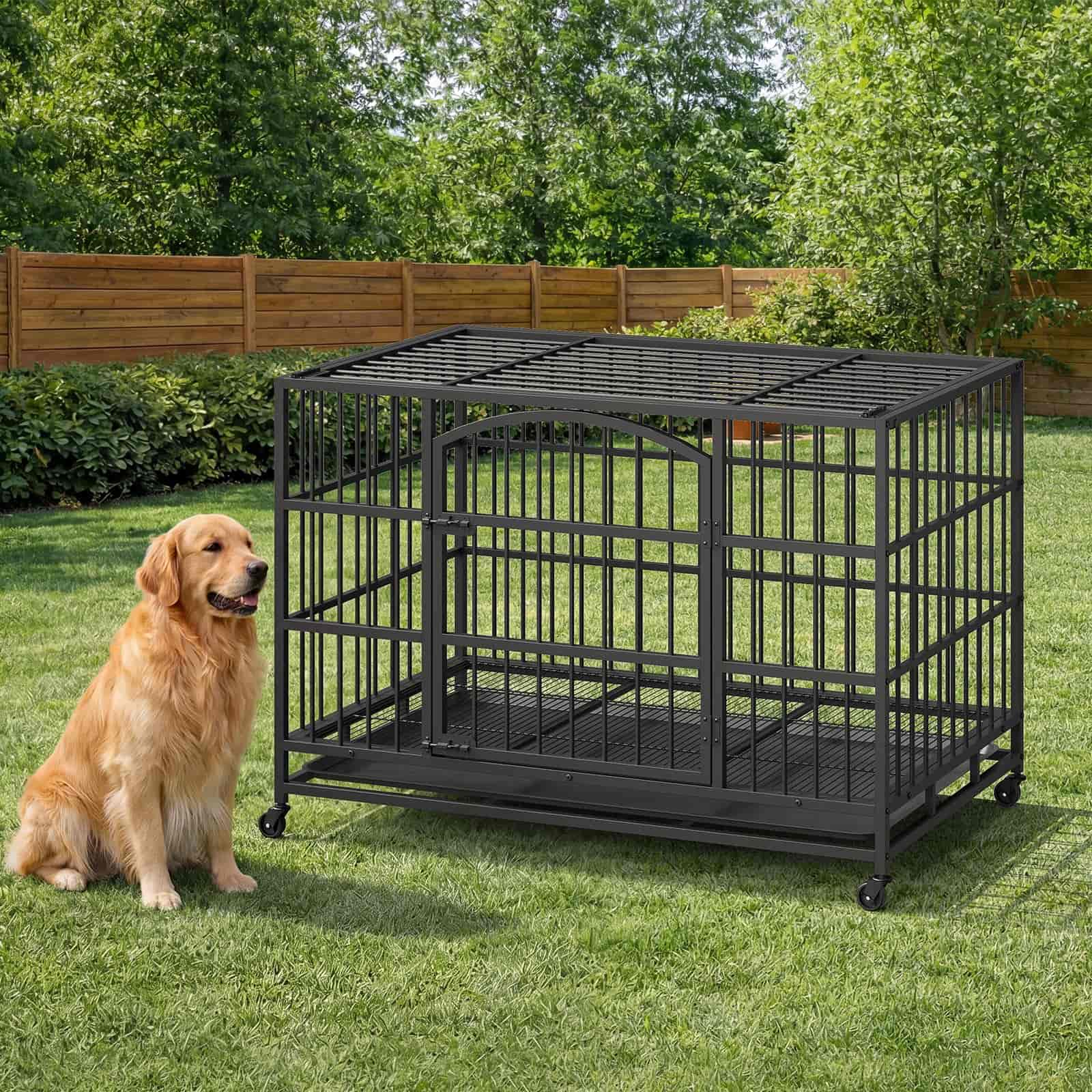 Dog sitting next to a large black metal dog crate in a garden setting.