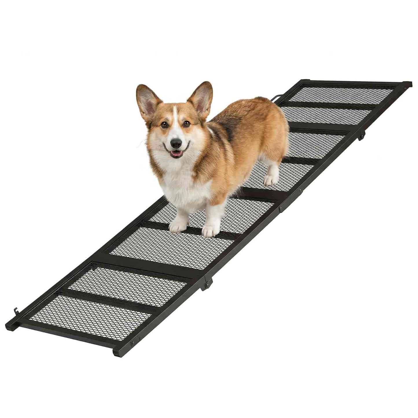 Dog standing on a black mesh pet ramp against a white background