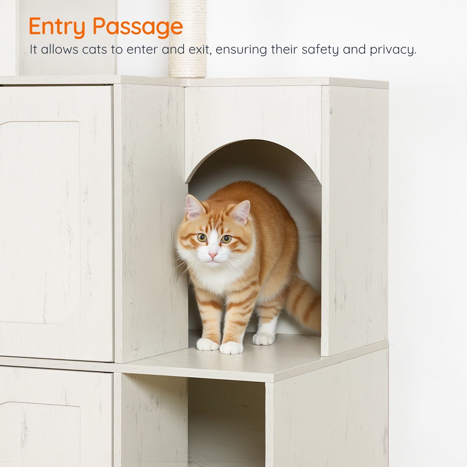 Cat standing inside a white wooden pet furniture piece with text about an 'Entry Passage'.