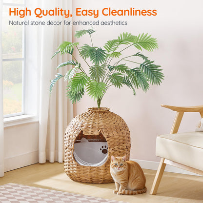 Wicker pet bed with cat and plant in a room with a window and chair.