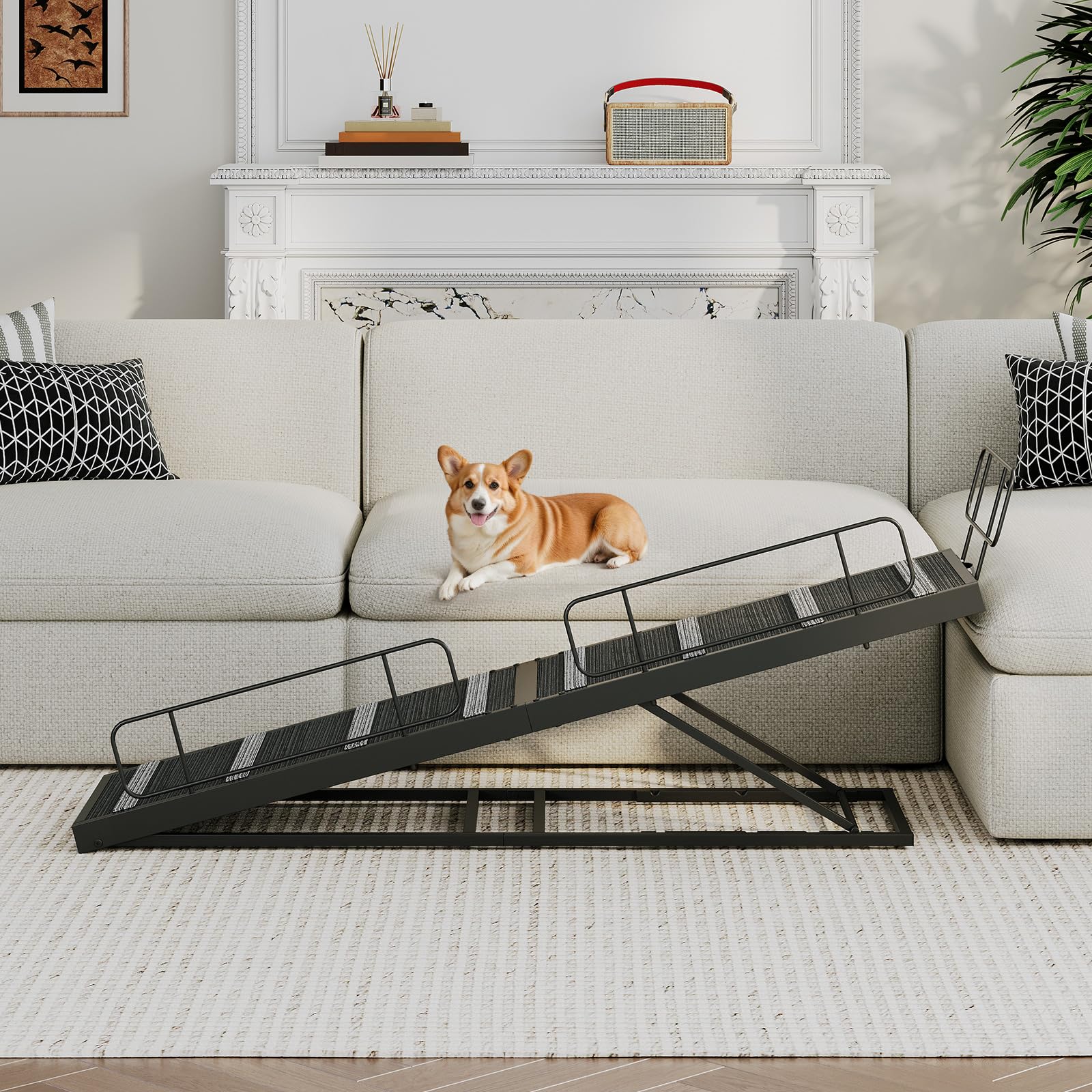 Adjustable dog ramp placed next to a living room sofa with a small breed pet.