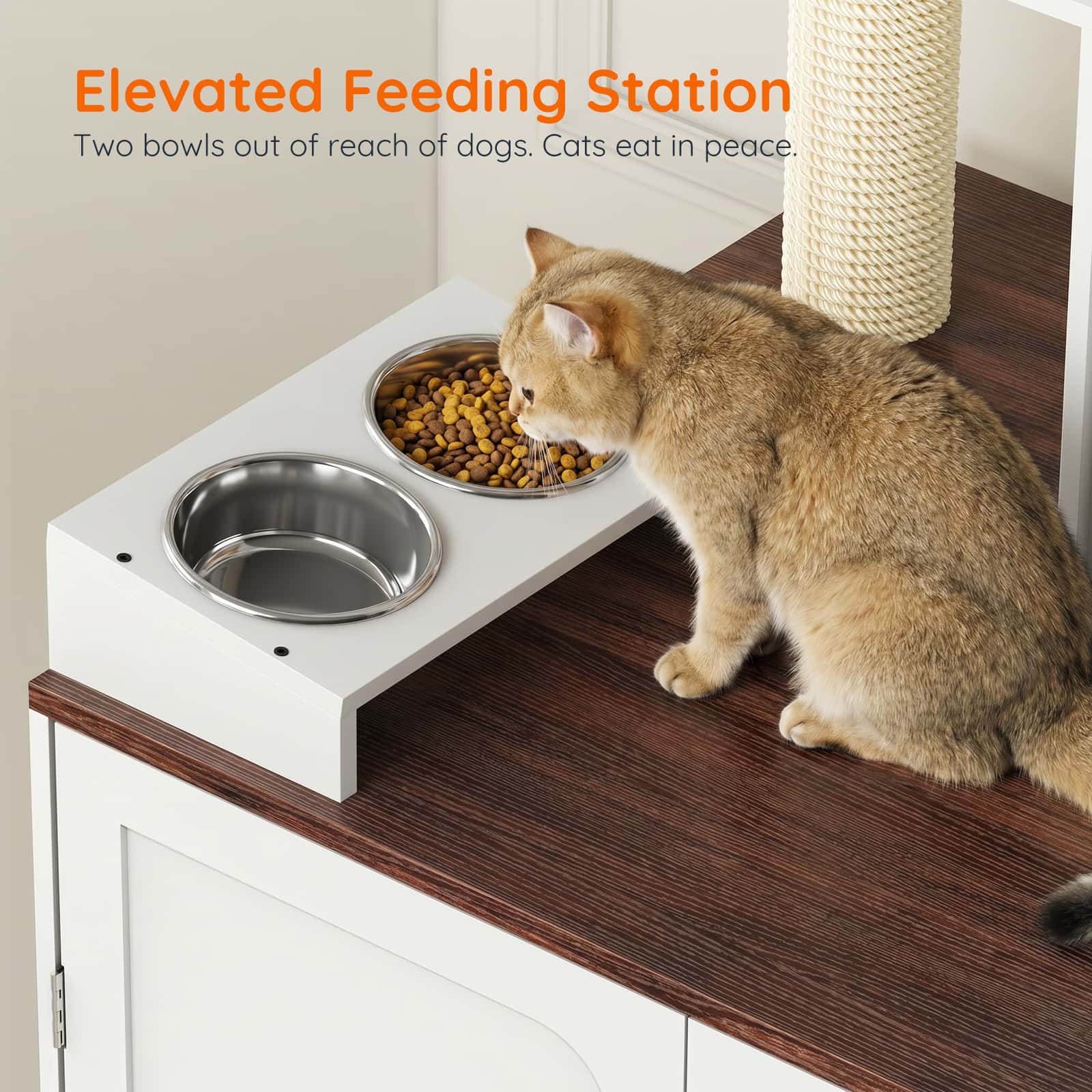 Close-up of a cat eating from the elevated wooden feeding station with double stainless steel bowls.