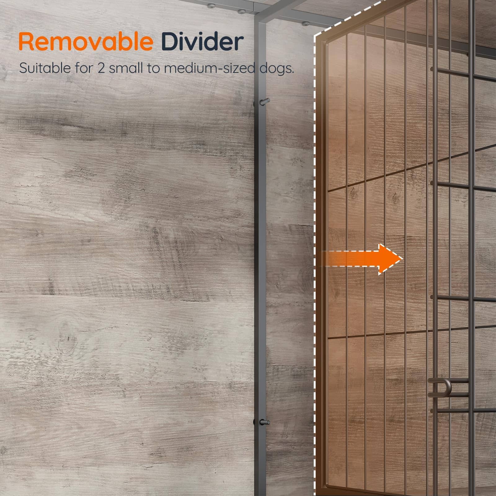 Removable divider panel shown installed in a glass enclosure, with text reading 'Removable Divider' and 'Suitable for 2 small to medium-sized dogs.' An orange arrow indicates the divider's position.