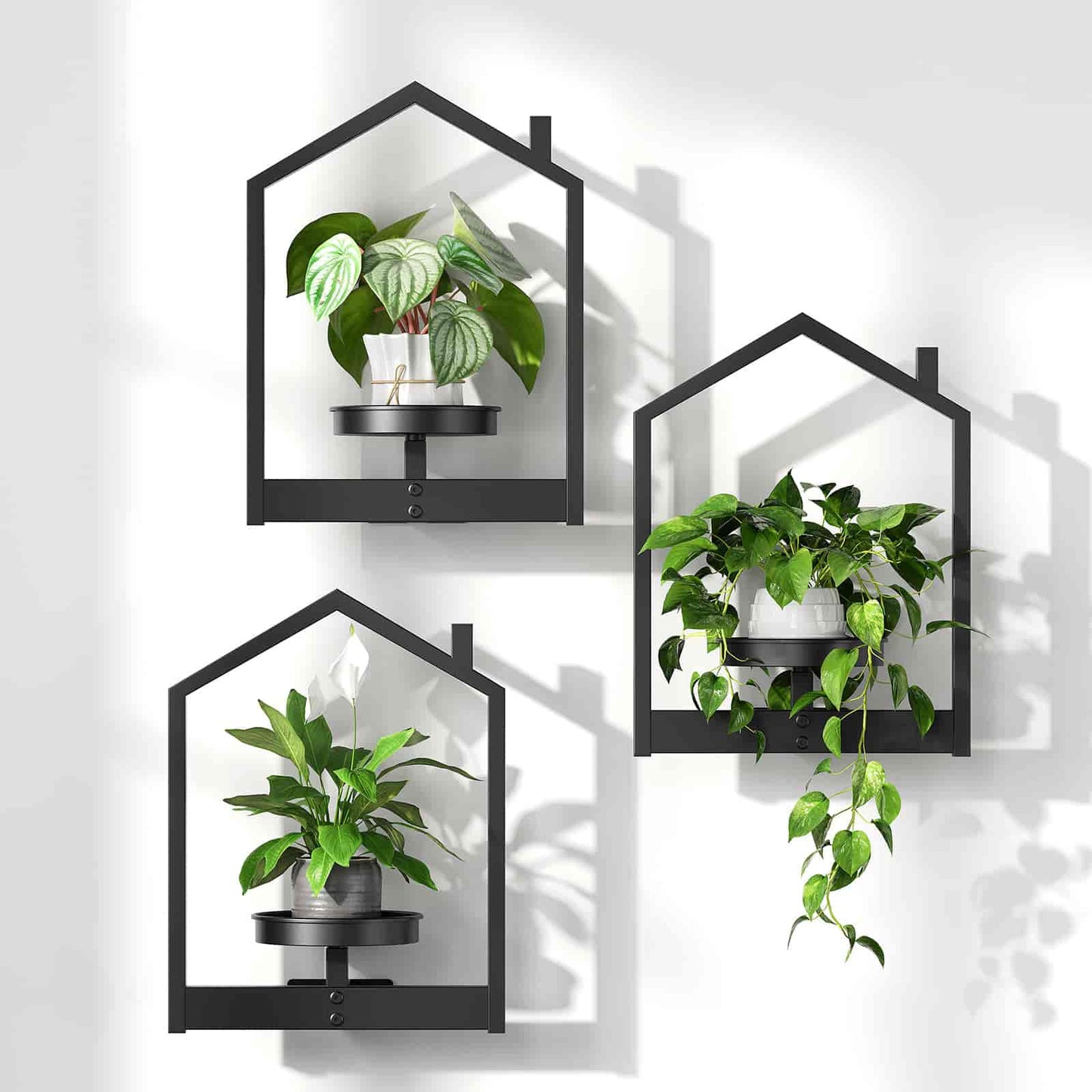 Set of three black wall-mounted plant shelves with plants on a white background
