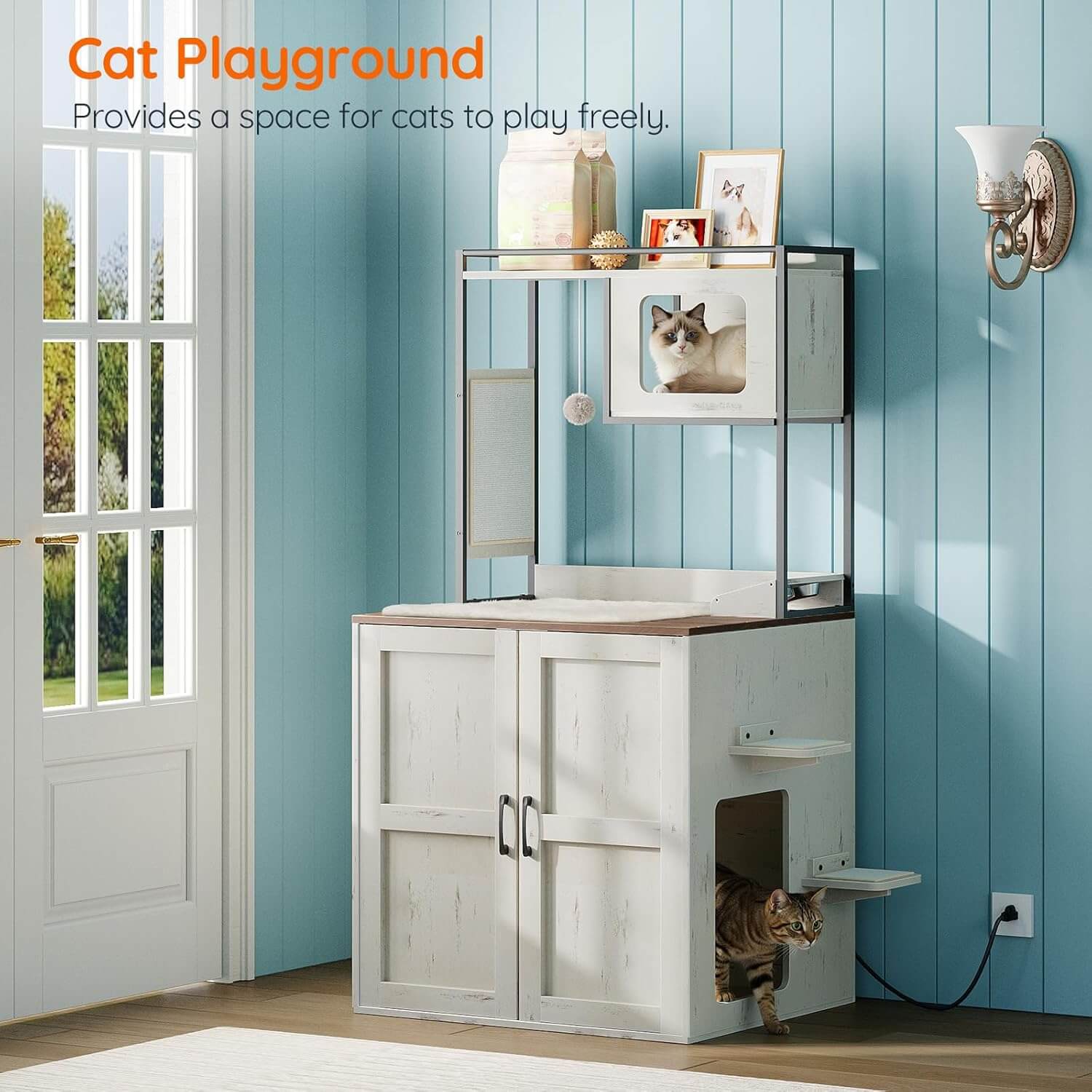 Cat playground with multiple levels and a cat peeking out, set against a blue wall.
