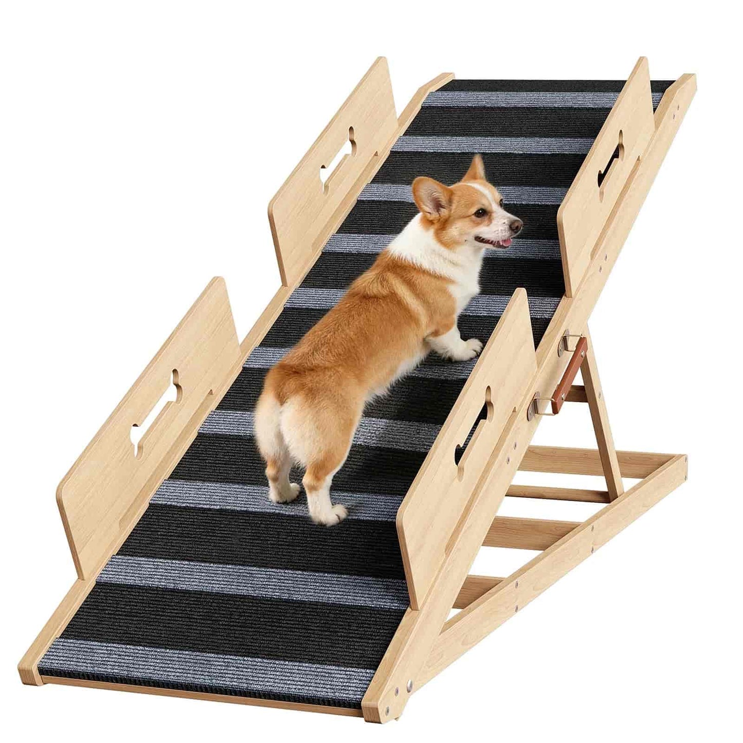 Dog using a wooden ramp with striped mat on a white background