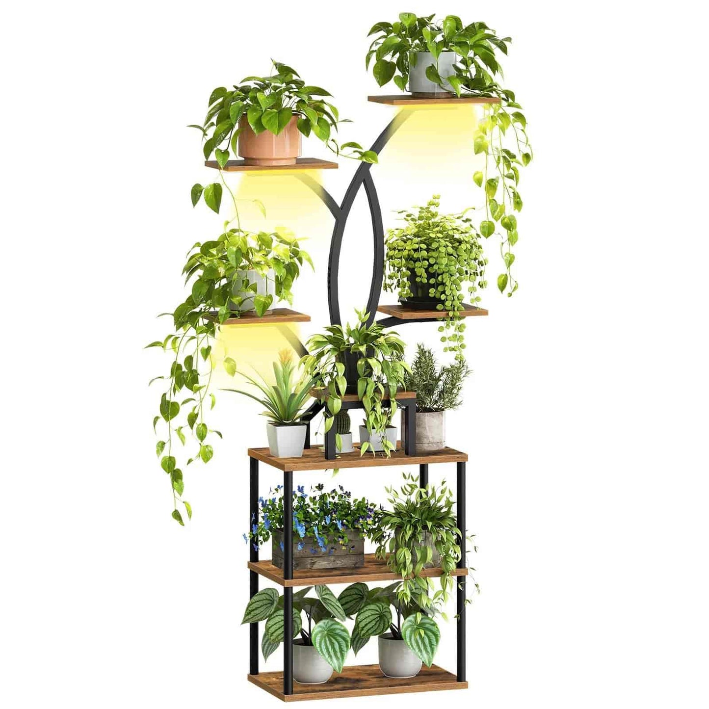 Multilevel plant stand with various potted plants on a white background