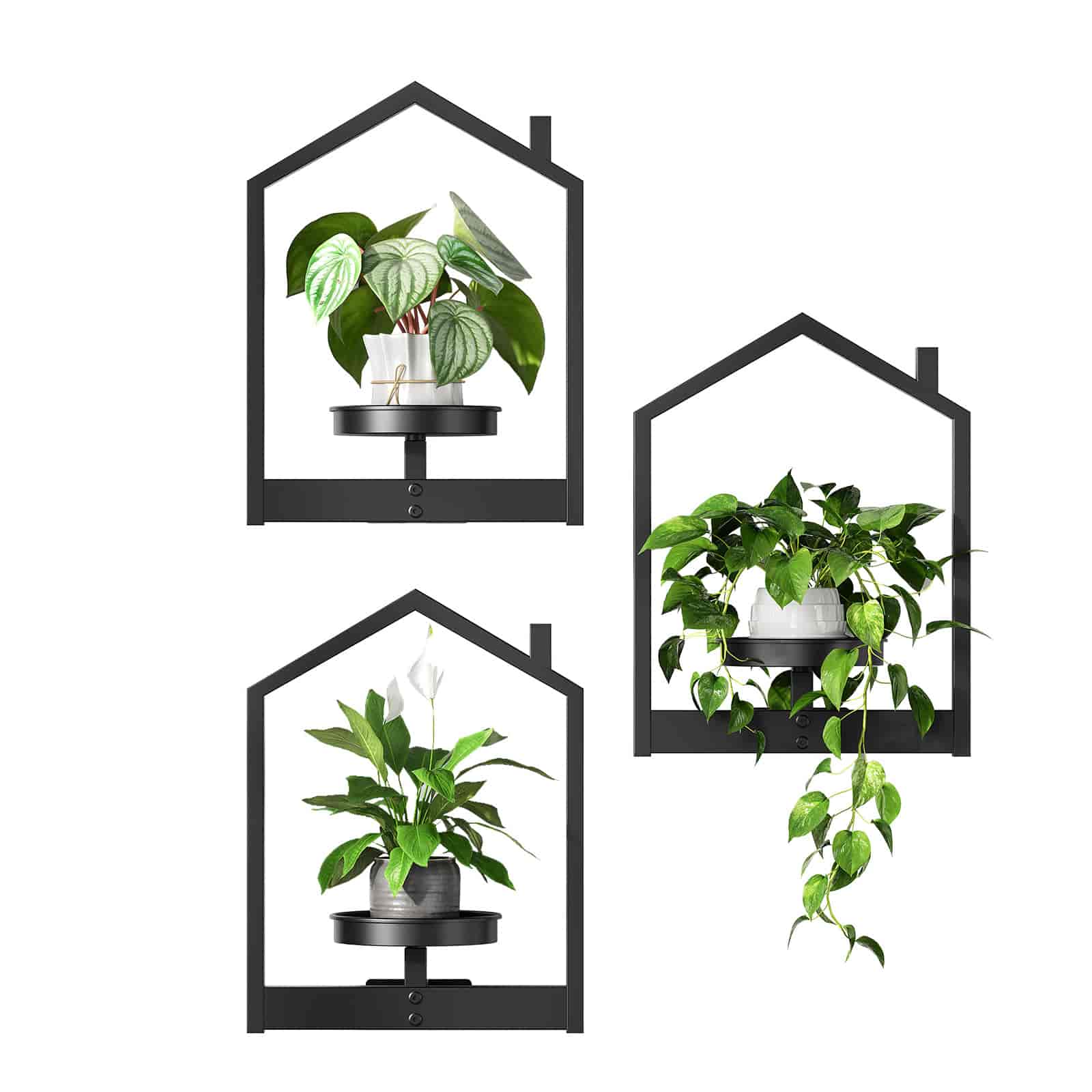 Three house-shaped black metal plant holder shelves styled with green potted plants on a pure white background.